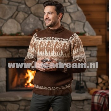 Alpaca men trui 10