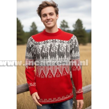Alpaca men trui 16