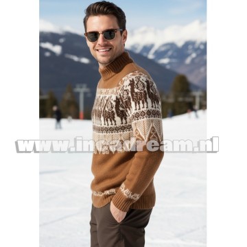 Alpaca men trui 30