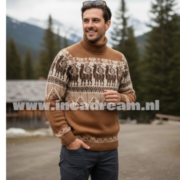 Alpaca men trui 31