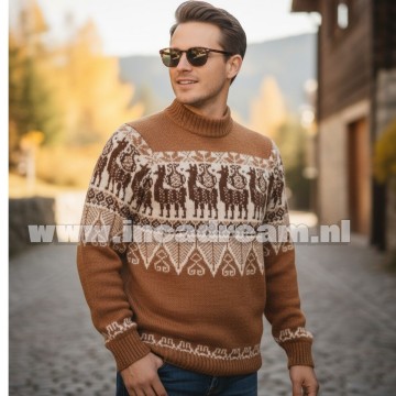 Alpaca men trui 32