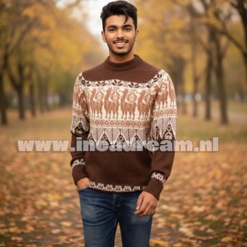 Alpaca men trui 4