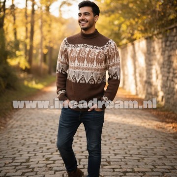 Alpaca men trui 9