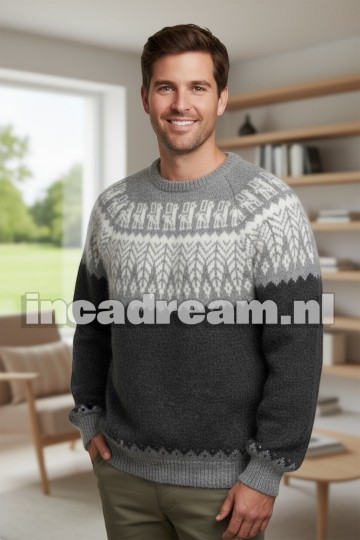 Alpaca sweater 20