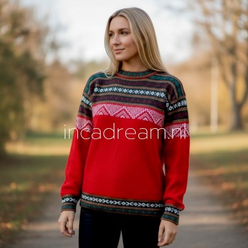 Alpaka pullover 1 0