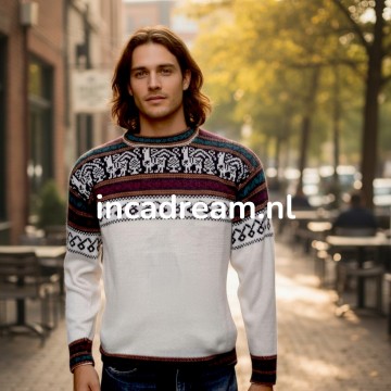 Alpaka pullover 24 0