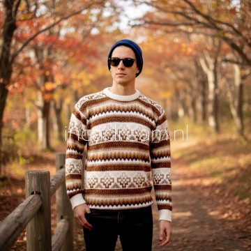 Alpaka pullover herren 101