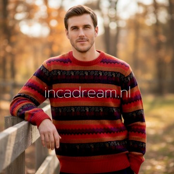 Alpaka pullover herren 13