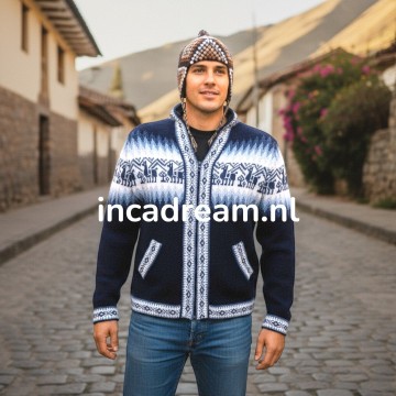 Alpaka pullover herren 15