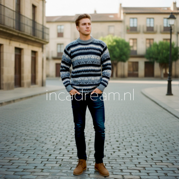 Alpaka pullover herren 16