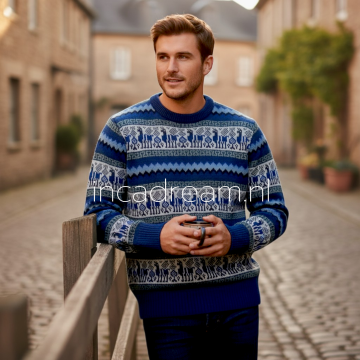 Alpaka pullover herren 21