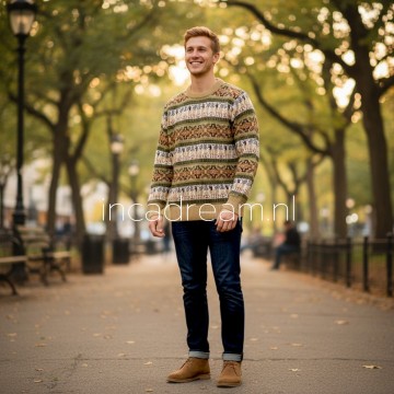 Alpaka pullover herren 25