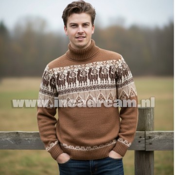 Alpaka pullover herren 26