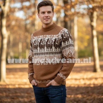 Alpaka pullover herren 27