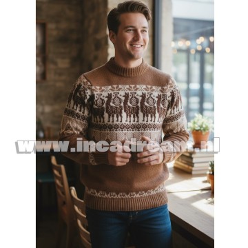 Alpaka pullover herren 28