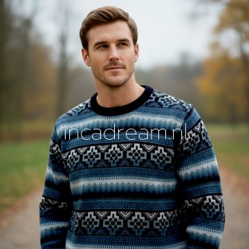 Alpaka pullover herren 29