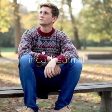 Alpaka pullover herren 30 0