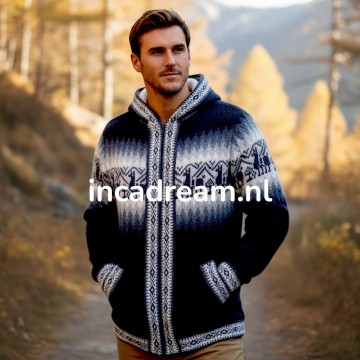 Alpaka pullover herren 30 1