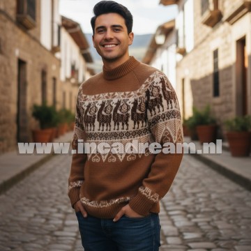 Alpaka pullover herren 32