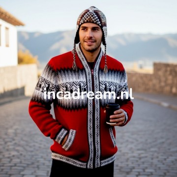 Alpaka pullover herren 34 0