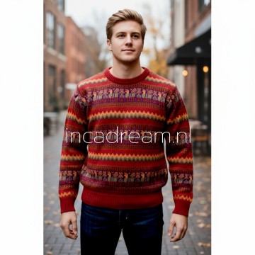 Alpaka pullover herren 34