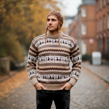 Alpaka pullover herren 38