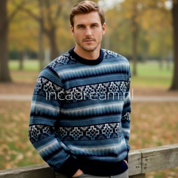 Alpaka pullover herren 41