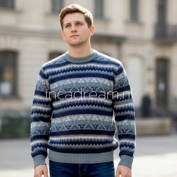 Alpaka pullover herren 42