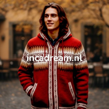 Alpaka pullover herren 46