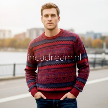 Alpaka pullover herren 48