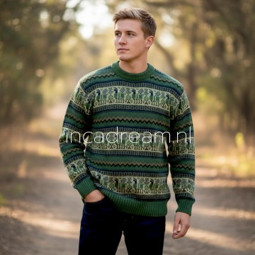 Alpaka pullover herren 49