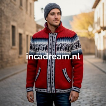 Alpaka pullover herren 5