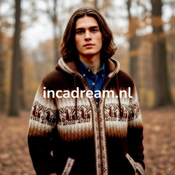 Alpaka pullover herren 62 0