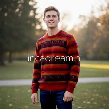 Alpaka pullover herren 86