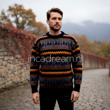 Alpaka pullover herren 87