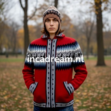 Alpaka pullover herren 9