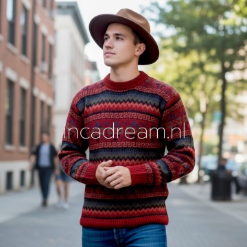 Alpaka pullover herren 92