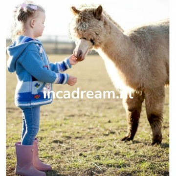 Peru children sweater 187 photoroom