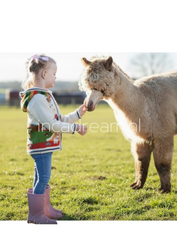 Peruvian sweater kids 129