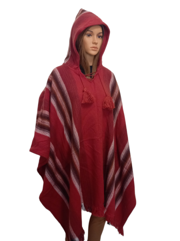 Photoroom 2022121512062222