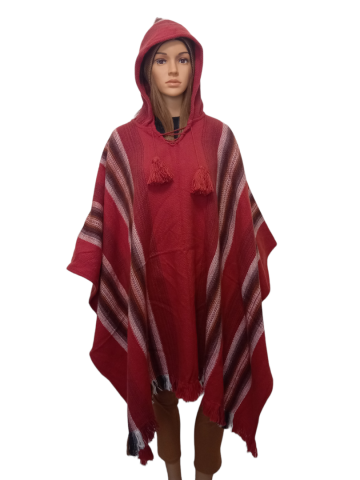 Photoroom 2022121512062324