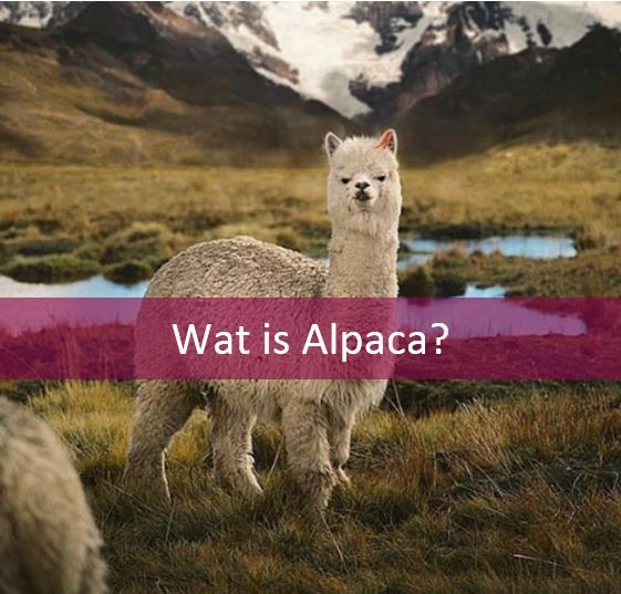 alpake